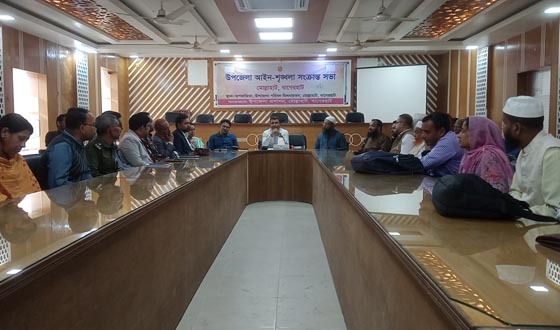 মোল্লাহাটে ভাষা শহীদ দিবসের প্রস্তুতি সভা