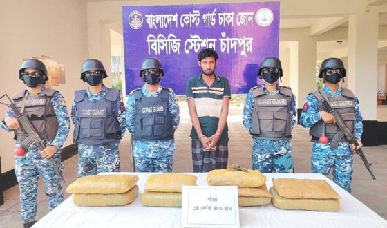 চাঁদপুরে ১৪ কেজি গাঁজাসহ আটক ১