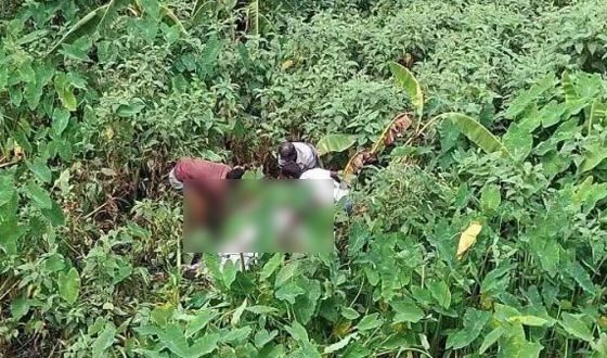 টাঙ্গাইলে পৃথকস্থানে দুইজনের অর্ধগলিত মরদেহ উদ্ধার