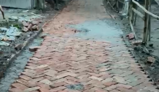 কাপাসিয়ায় ইউপি সদস্যের বিরুদ্ধে নিম্নমানের ইট দিয়ে রাস্তা নির্মাণের অভিযোগ