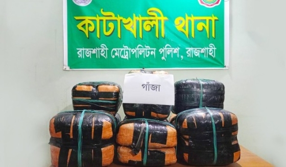 রাজশাহীতে পুলিশের অভিযানে বিপুল পরিমাণ গাঁজা উদ্ধার