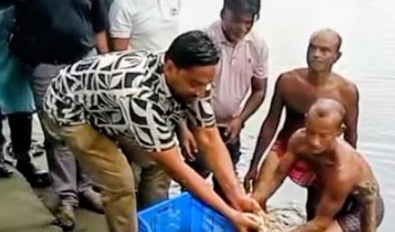 নিজ পুকুরের দেশীয় মাছের পোনা বিশ্বখালে অবমুক্ত