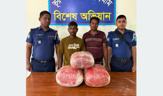 ভূরুঙ্গামারীতে ১৪ কেজি গাঁজাসহ ২ জন আটক