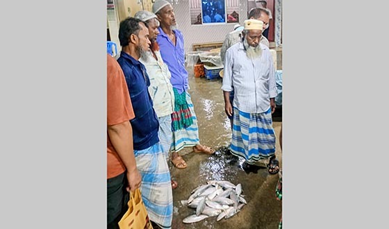 কমে যাচ্ছে চাঁদপুর মৎস্য অবতরণ কেন্দ্রে ইলিশ জৌলুশ