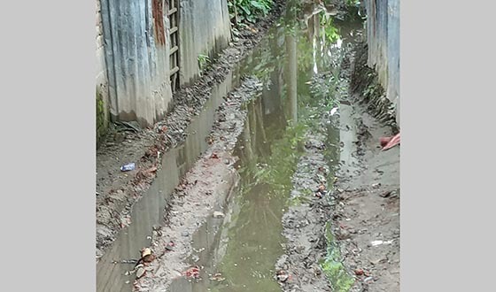 কালীগঞ্জ পৌরসভার রাস্তায় গর্ত ভোগান্তিতে ৩৫ পরিবার