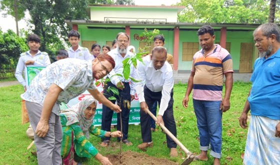 বিরলে বৃক্ষরোপন ও চারা বিতরণ কর্মসুচির শুভ উদ্বোধন