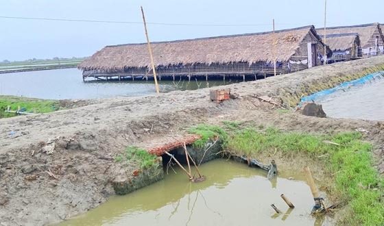 পাইকগাছায় ২কিঃমিঃ রাস্তায় ৯০ ফুট কাঁচায় জনদুর্ভোগ চরমে!