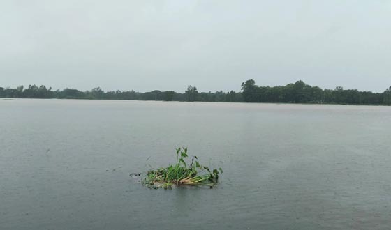সাতকানিয়ায় তেইশের বন্যাতঙ্ক বাড়ছে