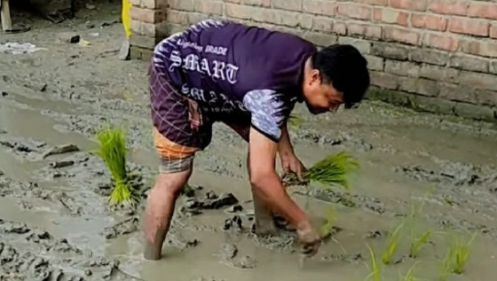 মোহনপুরে রাস্তা নির্মাণে ধীরগতি চরম দুর্ভোগ, ধানের চারা লাগিয়ে প্রতিবাদ