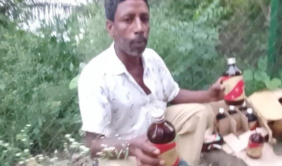 ভুল ওষুধ প্রয়োগ করায় ডুবির বিলে মাছের মড়ক, ১০ লাখ টাকার ক্ষতি