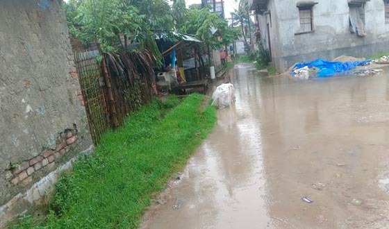 পাইকগাছায় টানা বৃষ্টিতে জনজীবন বিপর্যস্ত