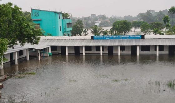 এক রাতের বৃষ্টিতে ডুবেছে সাতক্ষীরার নিম্নাঞ্চল