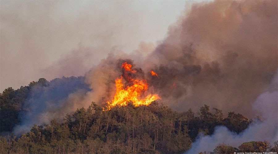 স্পেনে ভয়াবহ দাবানল,  ১২ জনের মৃত্যু
