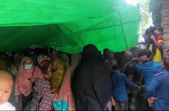 গাংনীতে সাপের কামড়ে সপ্তম শ্রেণীর শিক্ষার্থীর মৃত্যু