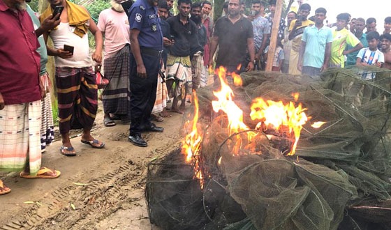দেশীয় মাছ রক্ষায় মাঠে চাটমোহর উপজেলা প্রশাসন ও মৎস্য বিভাগ