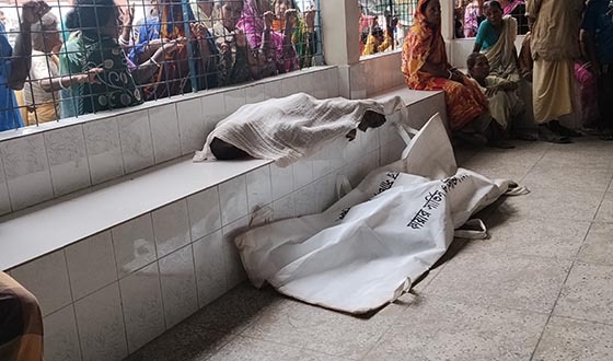 নীলফামারীর ডোমারে সড়ক দুর্ঘটনায় নারী-শিশুসহ নিহত ৪