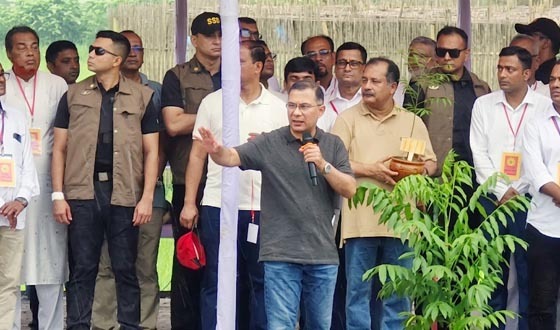 নিজেদের পরিবেশ নিজেদের রক্ষা করতে হবে : প্রধানমন্ত্রী