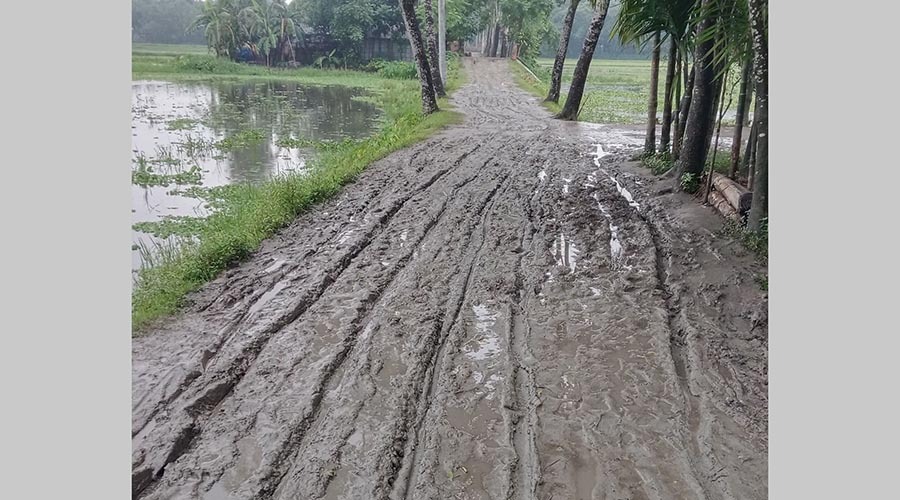 নীলফামারীর সুজনপাড়া সড়ক যেন চাষের উপযোগি ফসলি জমি