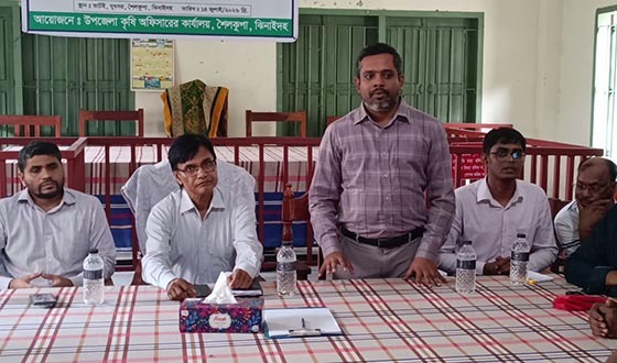শৈলকুপায় কৃষক কার্ড বিতরণ উপলক্ষে প্রস্তুতিমূলক সভা