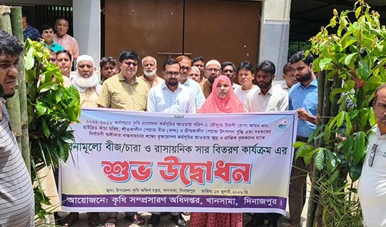 খানসামায় কৃষকদের মাঝে রোপা আমনের চারা, গোবর সার ও বাঁশের খুঁটি বিতরণ