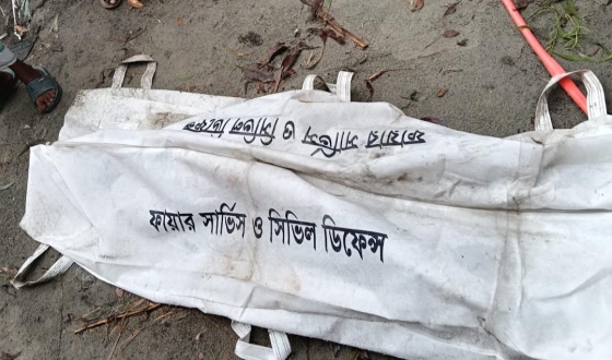 টঙ্গীতে ঘাস কাটতে গিয়ে যুবকের মৃত্যু