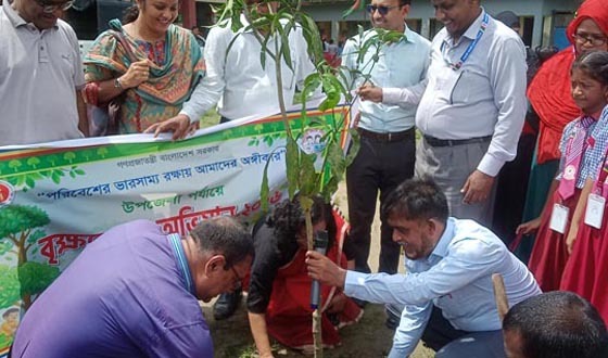 মোল্লাহাটে উপজেলা পর্যায়ে বৃক্ষরোপণ অভিযান অনুষ্ঠিত