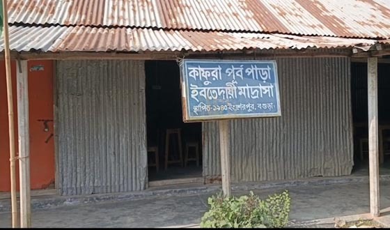 শেরপুরে ইবতেদায়ি মাদ্রাসায় নেই পাঠদান, তবু চলছে বই বিতরণ