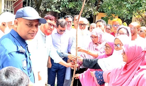 গোমস্তাপুরে প্রাথমিক বিদ্যালয়ে বৃক্ষরোপণ কর্মসূচির উদ্বোধন