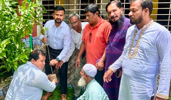 জাতীয় প্রাথমিক শিক্ষা পদক সম্প্রচার ও বৃক্ষরোপণ কর্মসূচি পালিত