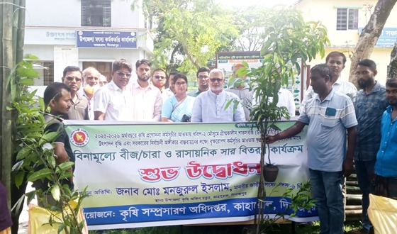 কাহারোলে বিনামুলে বীজ চারা ও রাসায়নিক সার বিতরণ
