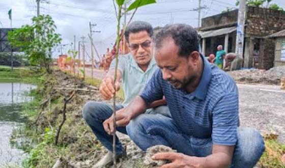 কয়রায় জেলা বিএনপির সদস্য এম এ হাসানের বৃক্ষ রোপন