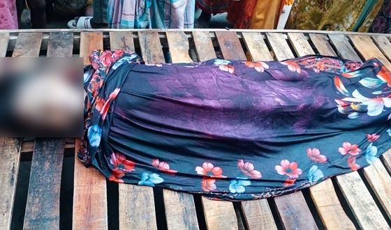 পলাশবাড়ীতে কচুরি ফুল তুলতে গিয়ে নিভে গেল নীরবের প্রাণ