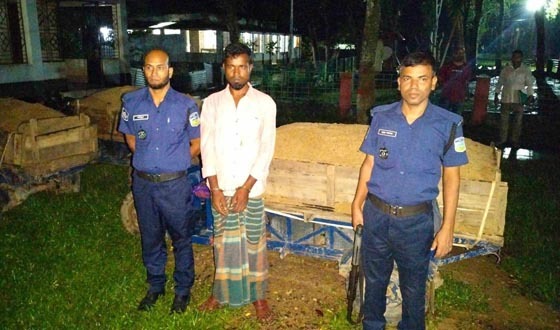 ঝিনাইগাতী অবৈধ বালু উত্তোলনের দায়ে কারাদণ্ড