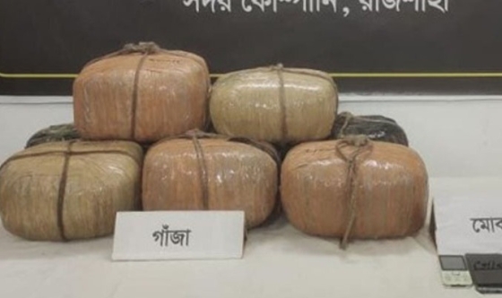 মোহনপুরে ৩১ কেজি গাঁজাসহ মাদক কারবারি গ্রেপ্তার