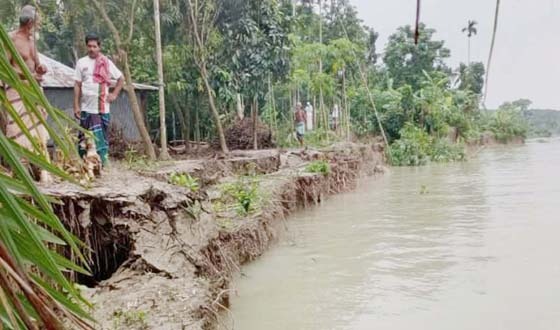 ভয়াবহ নদীভাঙনে অস্তিত্ব সংকটে মুলাদীর বিভিন্ন ঘরবাড়ি