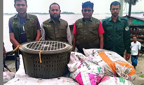 সুন্দরবনে কোবাদক স্টেশনের অভিযানে কাঁকড়াসহ ৪ নৌকা জব্দ