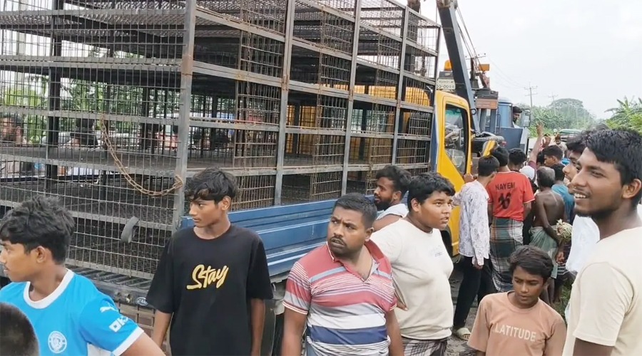 নরসিংদীতে সড়ক দুর্ঘটনায় দুই এইচএসসি পরীক্ষার্থীসহ নিহত ৩
