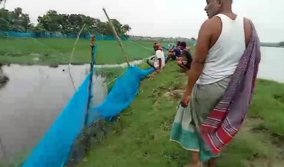 স্ট্যাটাসকোর সুযোগ নিয়ে মাছের ঘেরে হামলার অভিযোগ