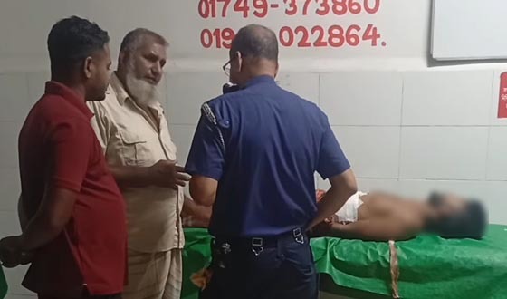 লোহাগড়ায় পাওনা টাকা আনতে গিয়ে খুন হলেন রাজমিস্ত্রি