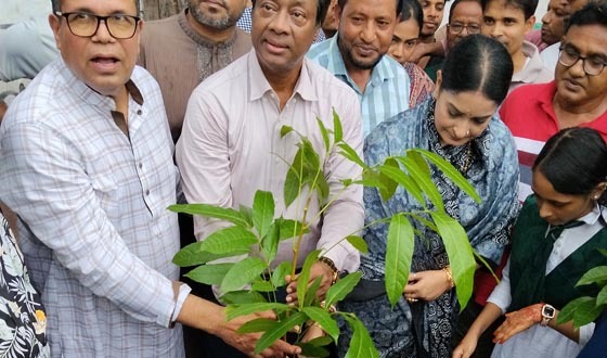 লোহাগড়া বিদ্যালয়ে বৃক্ষরোপণ করলেন এমপি জাহাঙ্গীর আলম ও নিপুণ রায়