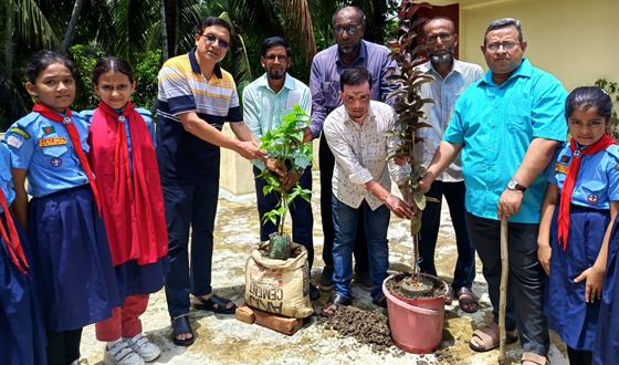 শরণখোলায় বৃক্ষরোপণ করল ঢাকা বিশ্ববিদ্যালয়ের গবেষণা দল