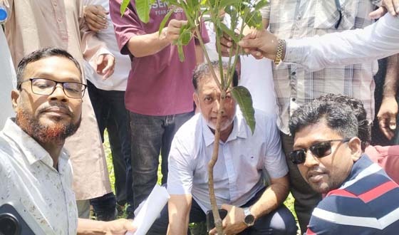 বৃক্ষরোপণে সাজাই দেশ, সবার আগে বাংলাদেশ