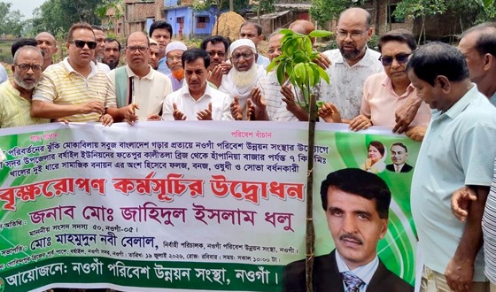 বৃক্ষরোপণ কর্মসূচি বাস্তবায়ন করছেন তারেক রহমান: এমপি ধলু