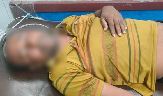 আশাশুনিতে মোটর সাইকেল ধাক্কায় গরুর মৃত্যু, চালক আহত