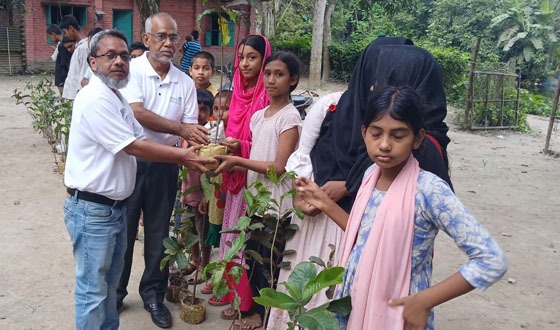 চাটমোহরে অরণ্য বাংলাদেশের গাছের চারা বিতরণ