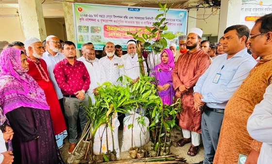 কাপাসিয়ায় প্রতিষ্ঠান ও কৃষকের মাঝে গাছের চারা ও সার বিতরণ