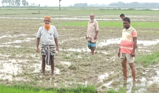 বাগমারায় প্রভাবশালীদের বিরুদ্ধে ভূমিহীনদের জমি দখল চেষ্টার অভিযোগ