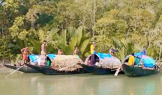 নিষেধাজ্ঞার ছয় বছর পর সুন্দরবনের ৮২৭১ জেলে পরিবার পাচ্ছে ভিজিএফ চাল
