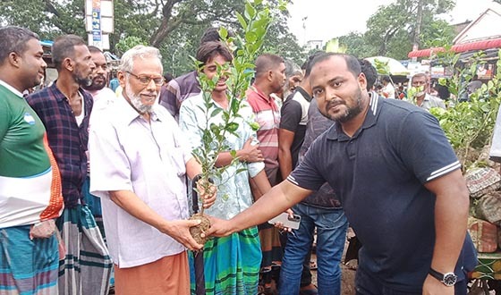 শৈলকুপায় বিনামূল্যে গাছের চারা বিতরণ