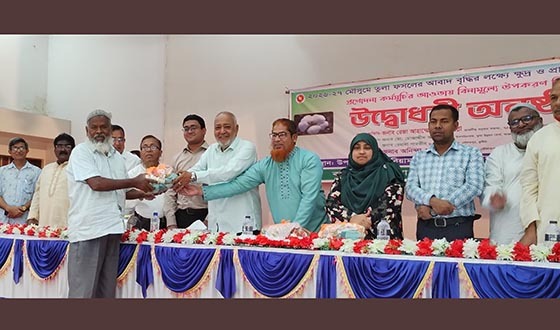 দৌলতপুরে কৃষকদের মাঝে বিনামূল্য উপকরণ বিতরণ
